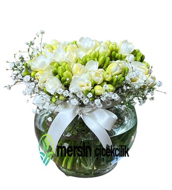 Mersin frezya çiçek, Mersin çiçek sipaişi, Mersin çiçekçilik