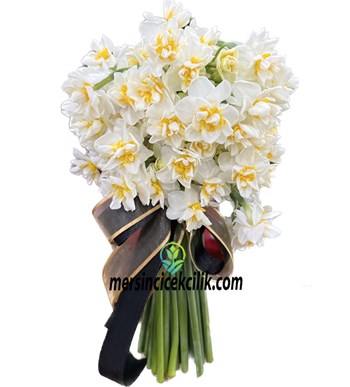 Tarsus Çiçek Siparişi, Mezitli Nergis Gönder, Mersin Çiçekçi