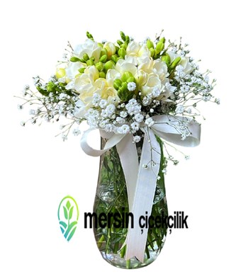 Mersin vazoda frezya, Mersin frezya, Mersin çiçek siparişi, 