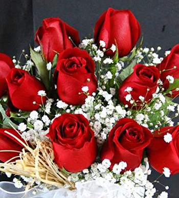 Sevgiler Dolusu Güller