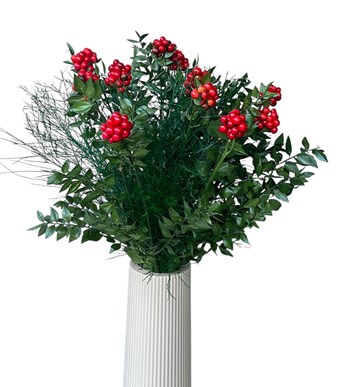 mersin kokina çiçek, yılbaşı kokina tasarım, şans kokina, 