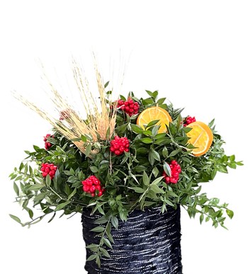 Mersin Kokina Sipariş, Yeni Yıl Çiçeği, Şans Getiren Kokina,