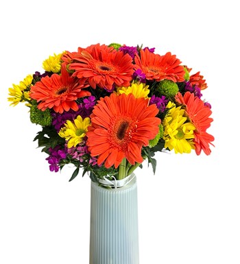 krem vazo çiçek, canlı çiçek aranjman, Mersin çiçek, 