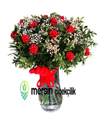 Vazoda Kırmızı Kokina, Mersin Çiçek Siparişi, Mersin Çiçek, 